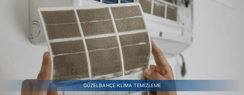 Güzelbahçe İlçemi Electrolux Klima Temizleme